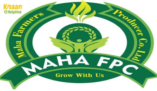 क्यों महाराष्ट्र के किसान एपीएमसी बाजारों के बाहर बेच रहे हैं? क्यों महाराष्ट्र के किसान एपीएमसी बाजारों के बाहर बेच रहे हैं?